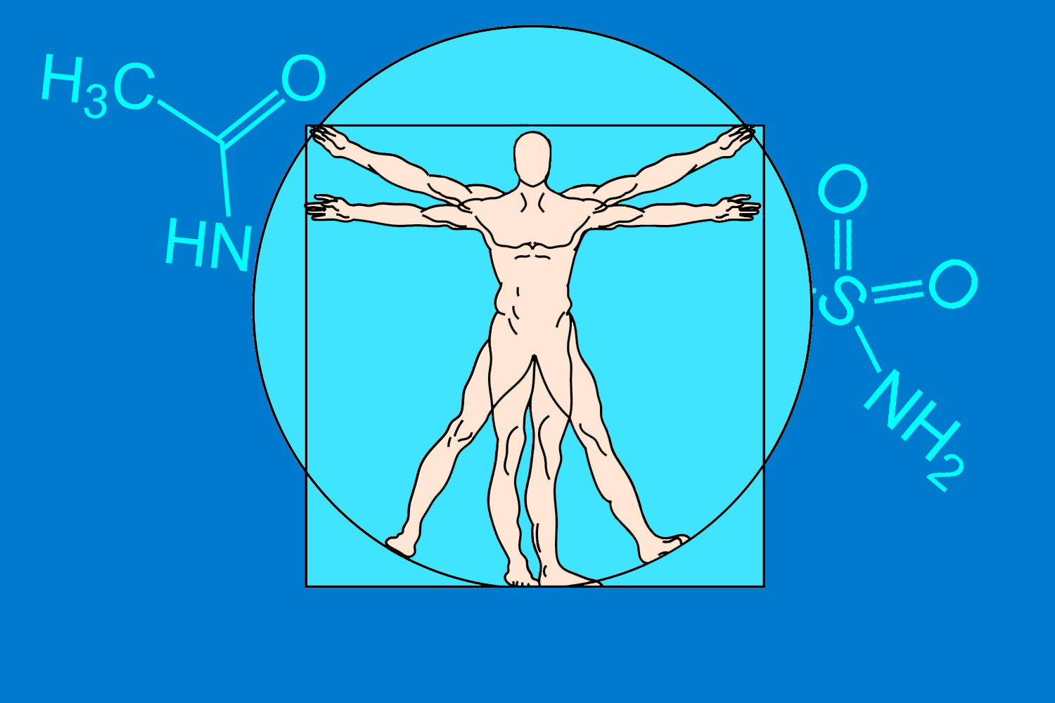 Anatomi, fysiologi og biokjemi AF22